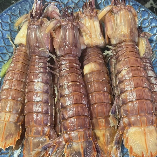 煮熟皮皮虾 公母混合。带籽