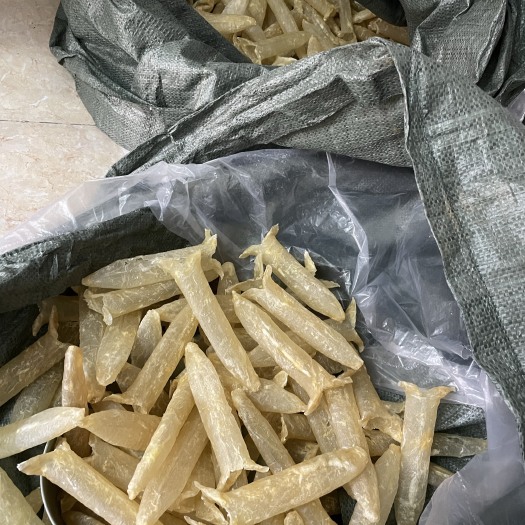 广州巴沙胶，20头黄花筒型，42头扁筒，主流两款，长久有货