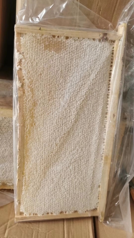 长葛市蜂巢蜜槐花蜂巢荆条蜂巢整板大张白色。支持批发零售