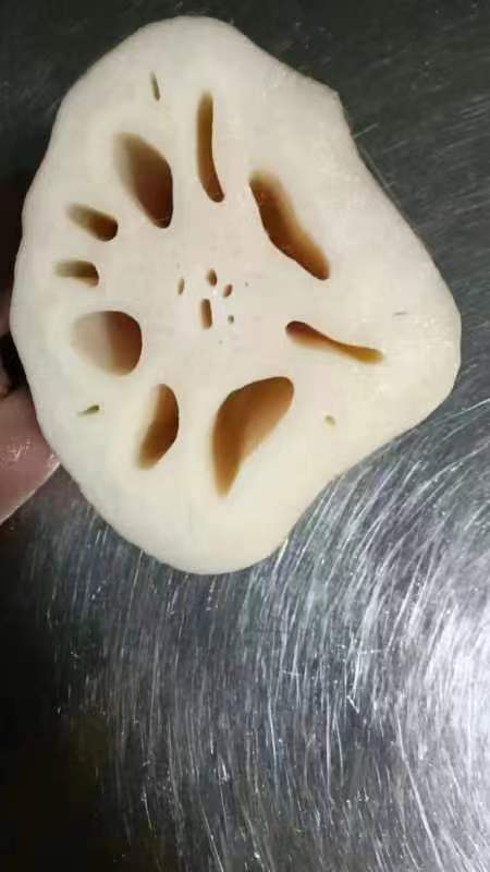 岑巩县精品粉藕  9孔