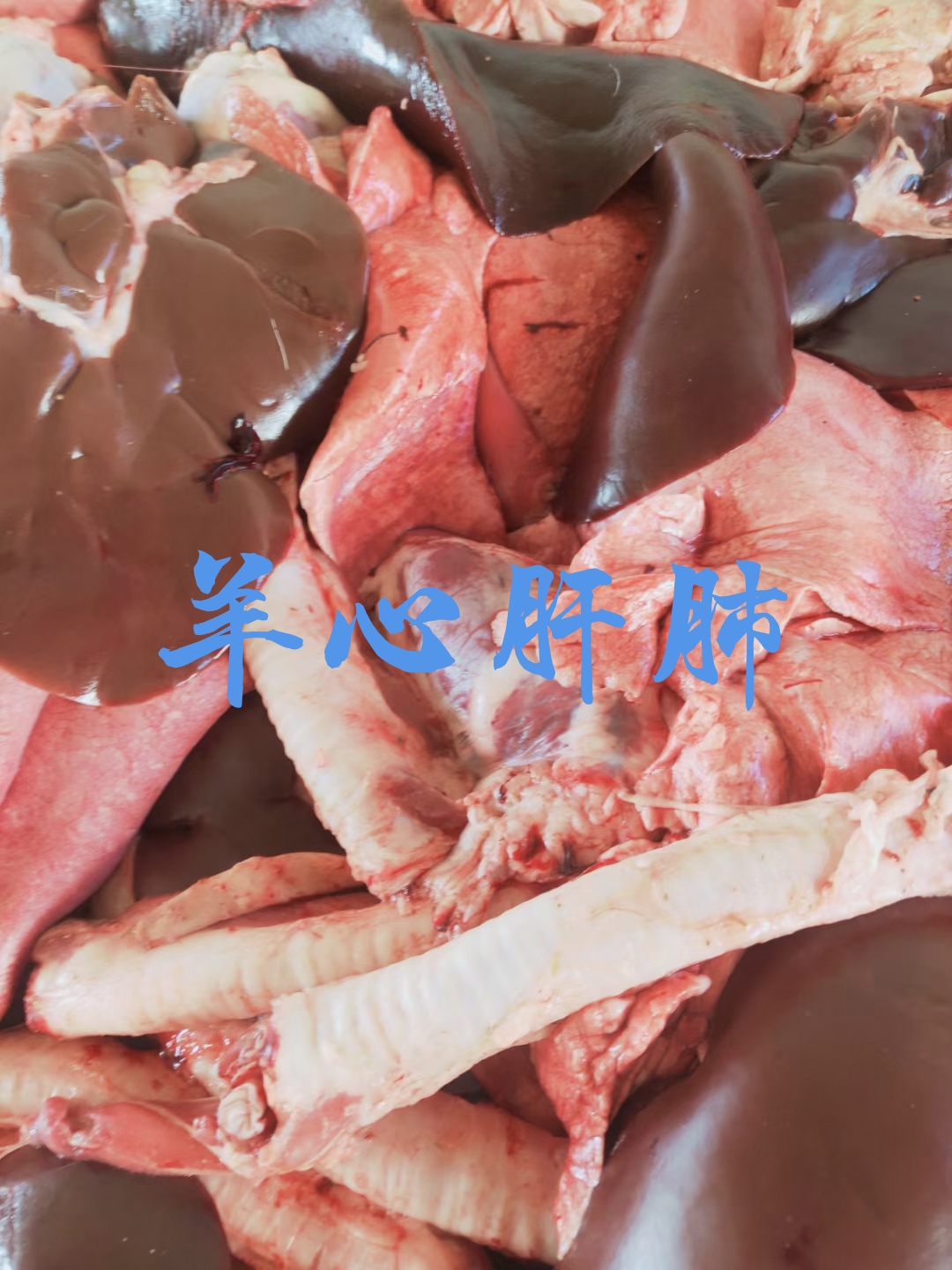 锡林浩特【羊心肝肺】当地绵羊的，有箱装也有袋装随机，全国发货量大优惠