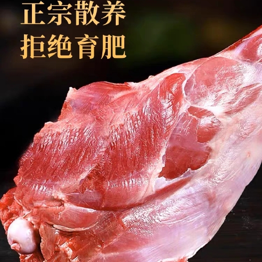 靖远县靖远跑山山羊