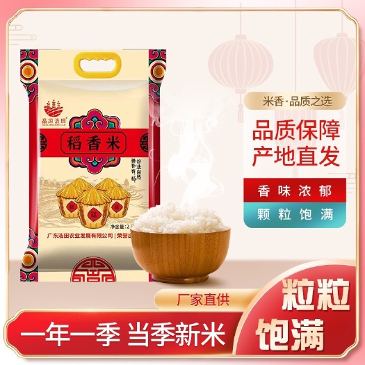 高州市香米，丝苗米