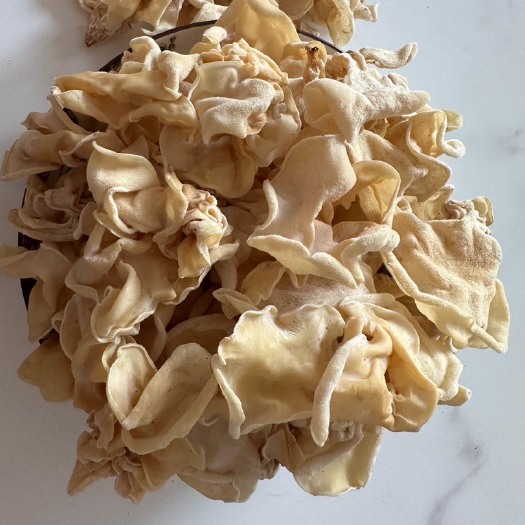 金乡县竹耳菌图耳菌辣椒炒肉白木耳扇耳菌大白木耳