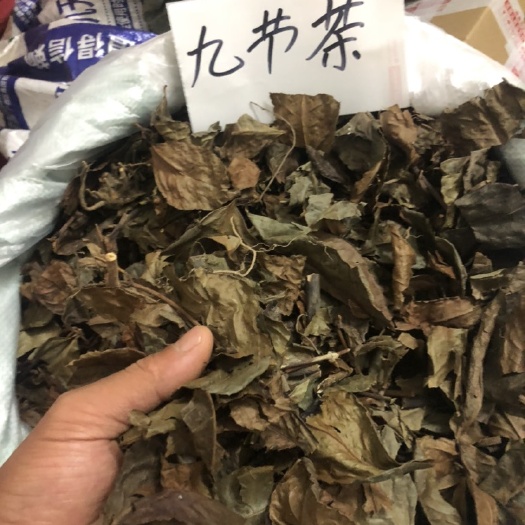 草珊瑚九节茶 中药材正品草珊瑚/肿节风 肿节风(九节风)