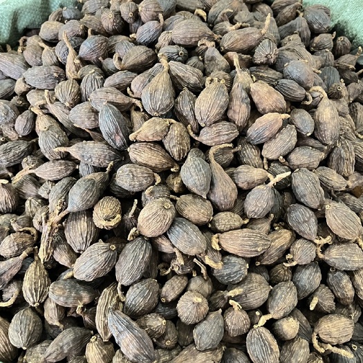 玉林草果云南草果味道香浓饱满