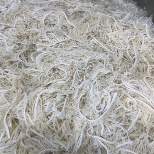 成都白千