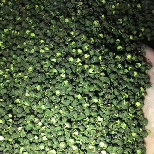 邢台青花椒