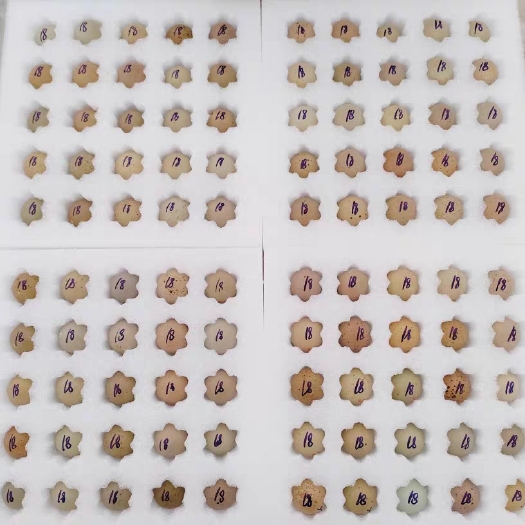 上饶芦丁鸡种蛋可孵化包80%受精率包邮到家