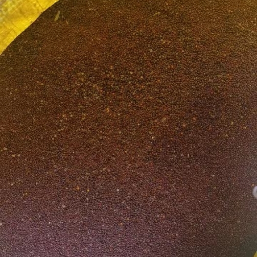 桃源县自厂自销原浆菜籽油