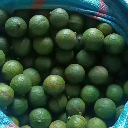 镇沅县云南普洱坚果