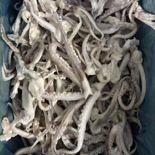 荣成市鱿鱼二本足