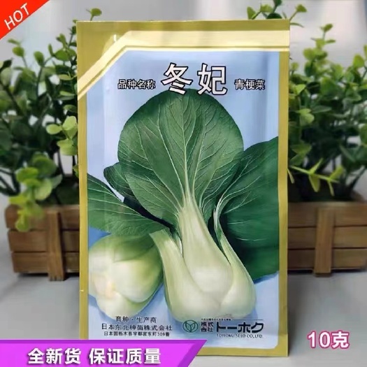 樟树市冬妃青梗菜种子日本厚肉苏州青大田基地上海青夏帝小白菜种籽
