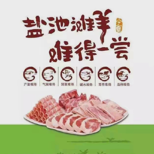 盐池县宁夏盐池滩羊肉