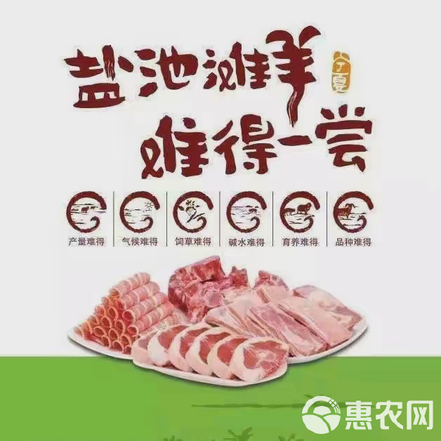 宁夏盐池滩羊肉