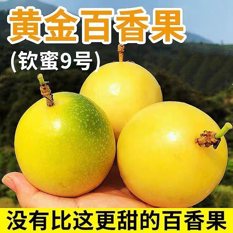 黄金百香果新鲜不加蜂蜜广西福建水果整箱包邮黄金果