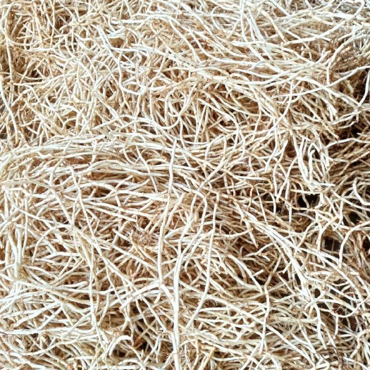 砚山县自家种值的农产品