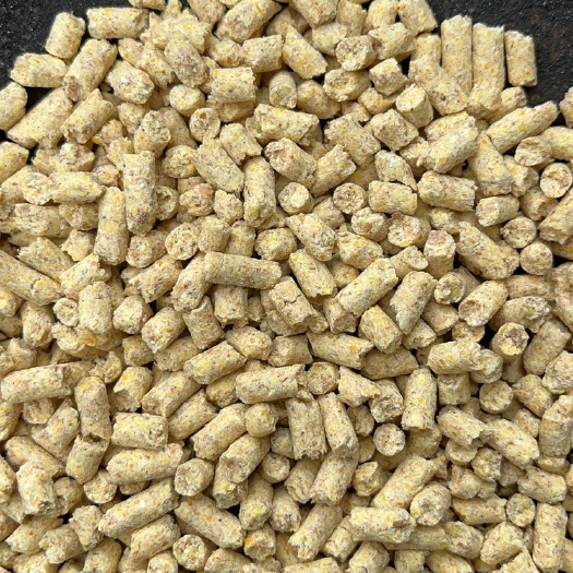 玉林猪全价料