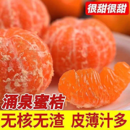 临海市浙江台州临海涌泉蜜桔橘子 10斤装新鲜现摘甜无核