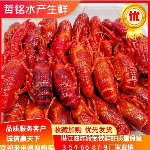 潜江液氮锁鲜虾，油炸液氮清水虾可以一年四季都能做的小龙虾。