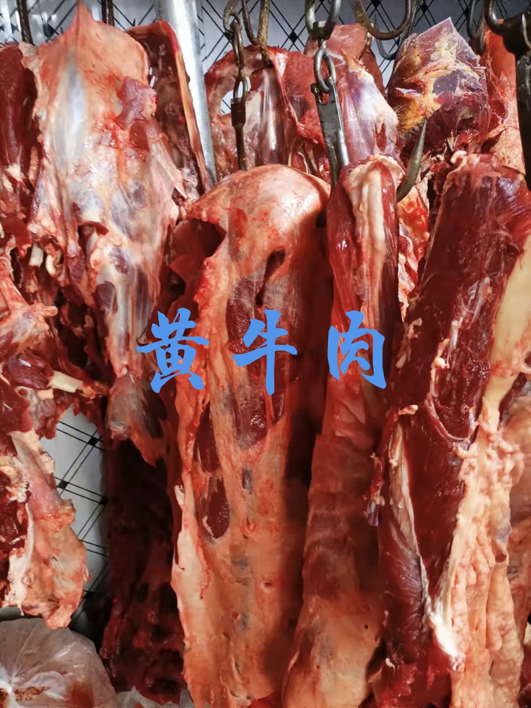 【牛肉】当地草原黄牛酮体肉鲜冻！牛腿肉牛前牛后，屠宰场直销！