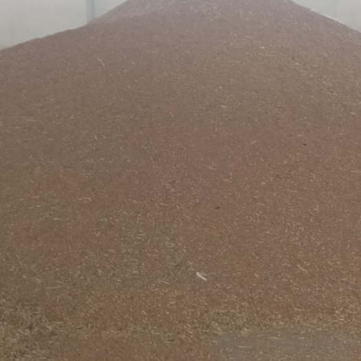 本地小麦，可净可毛粮出售，价格随行就市