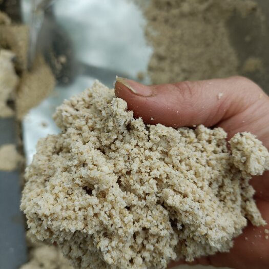 成都豆腐渣
