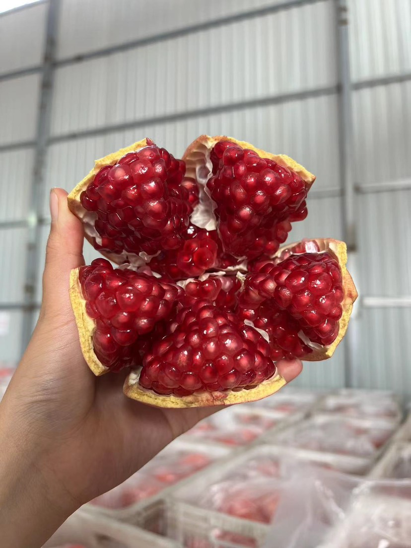 临潼贵妃软籽石榴6枚净果7.2斤礼盒顺丰包邮一件代发