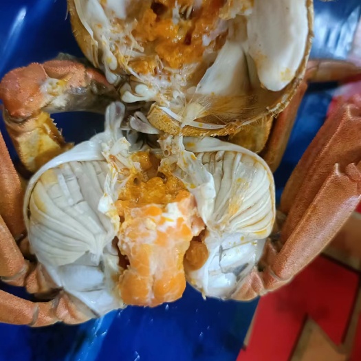 甘肃大闸蟹