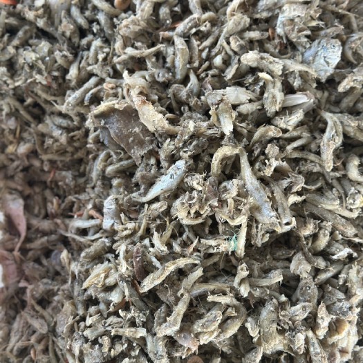 滨州鱼饲料高蛋白质喂鱼虾