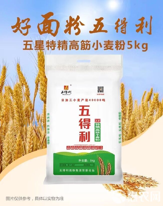 五得利五星特精小麦粉包子馒头水饺通用面粉