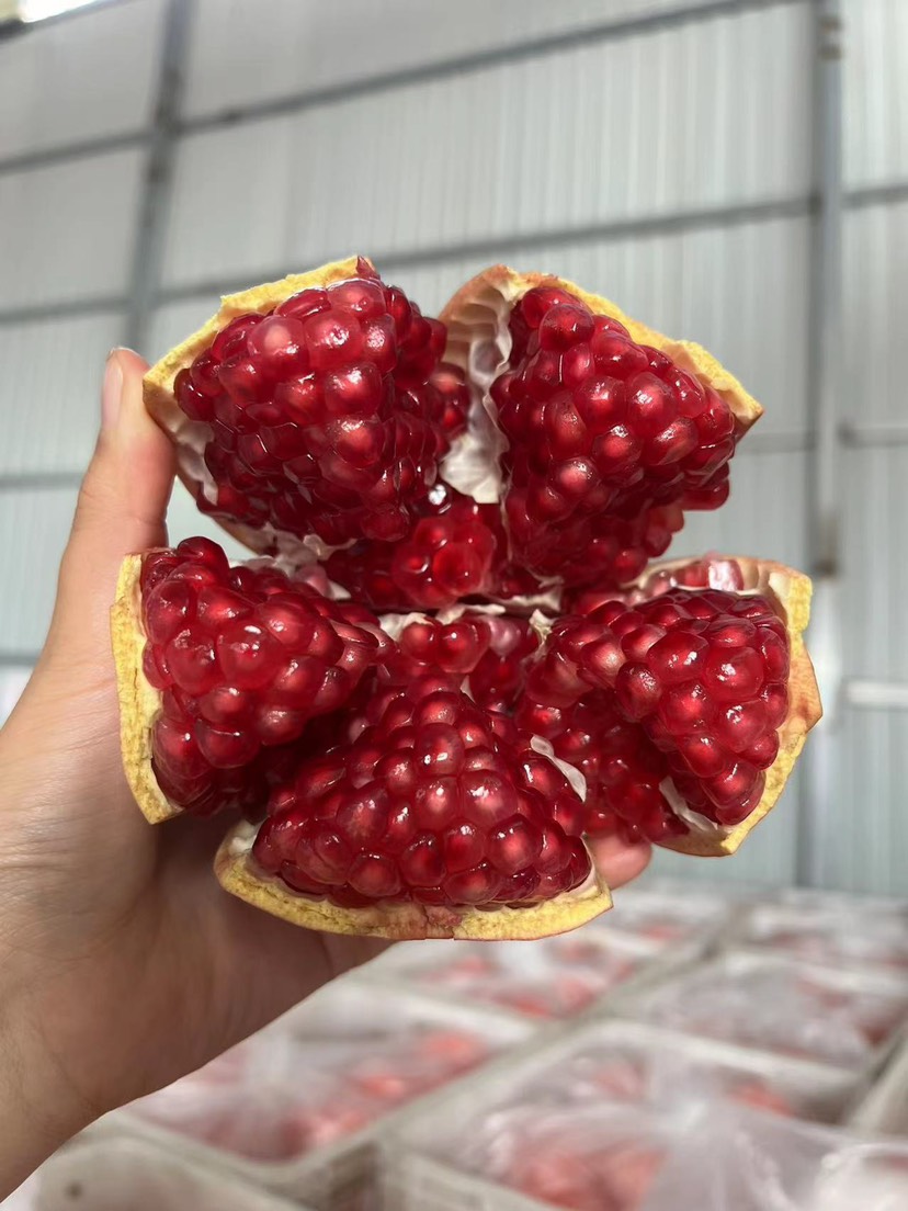 临潼贵妃软籽石榴6枚净果7.2斤礼盒顺丰包邮一件代发