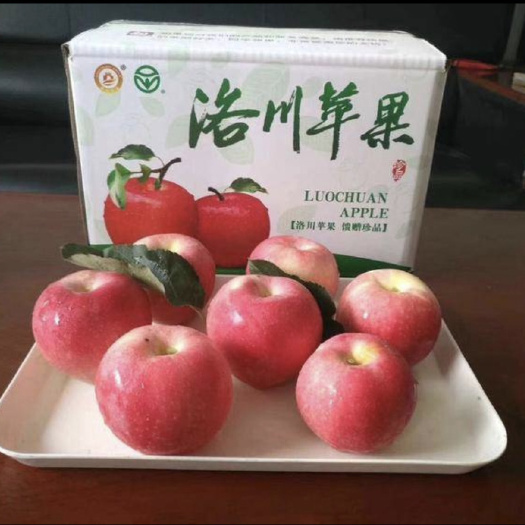 红富士苹果11斤