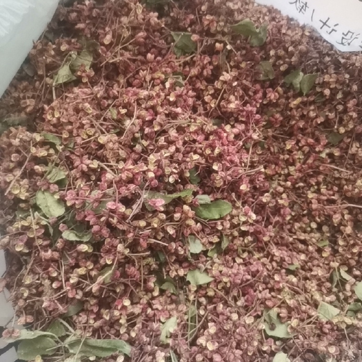 临洮县甘肃定西花椒，颜色好，味道浓。绿色无污染。