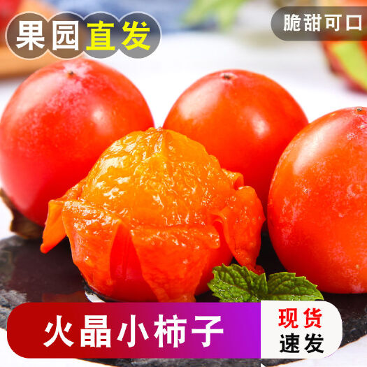 西安2025年现摘现发当季火晶柿子