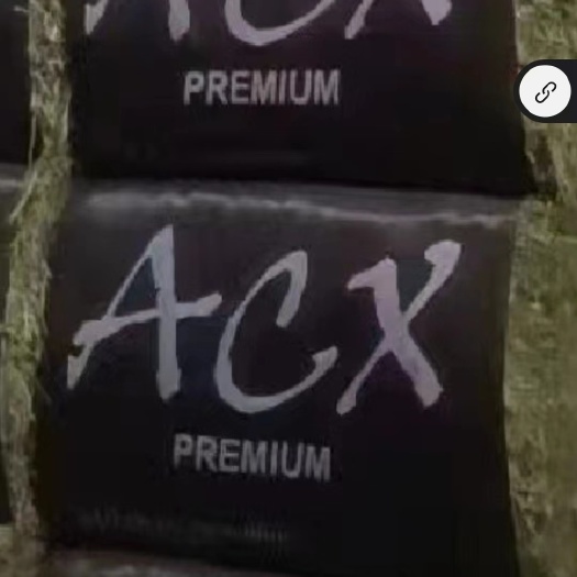 天津美国ACX一级苜蓿草
