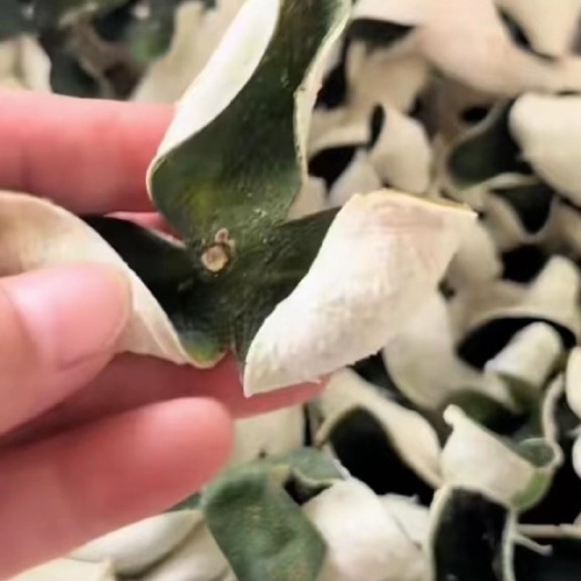 恩平市三花青皮