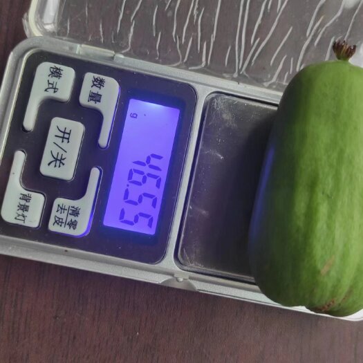 庄河市大个软枣猕猴桃 平均25g以上