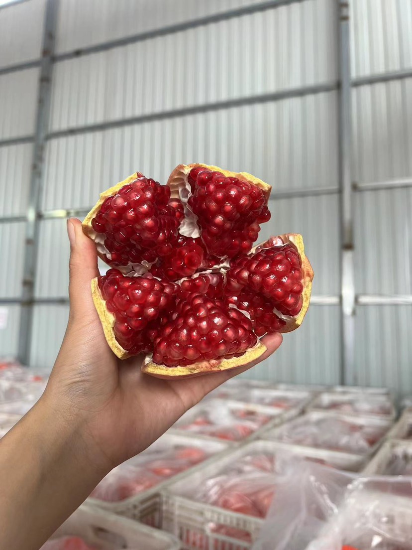 临潼贵妃软籽石榴6枚净果7.2斤礼盒顺丰包邮一件代发