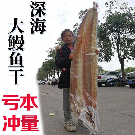 日照特大新鲜鳗鱼干渔民自制咸鱼干海鳗鱼干海鲜干货5成干批发