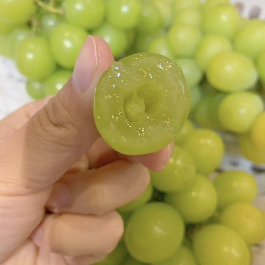 兰考县阳光玫瑰葡萄