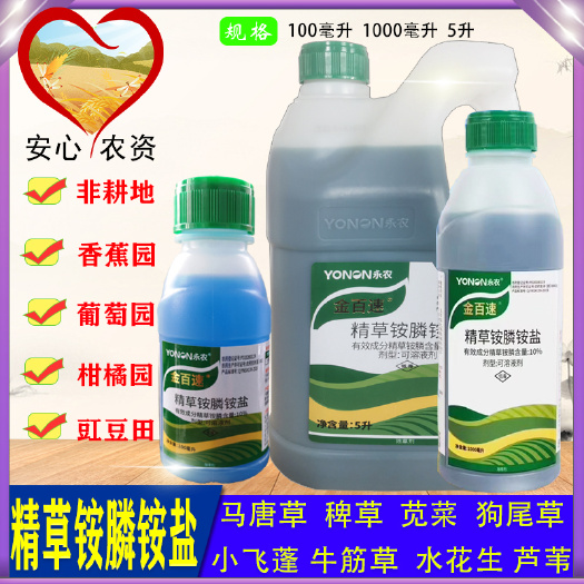金百速精草铵膦铵盐灭生性除草剂牛筋草小飞蓬非耕地除草剂