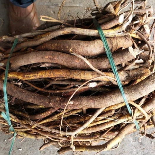 湛江五指毛桃，价格美丽，最合适煲汤，还有泡酒