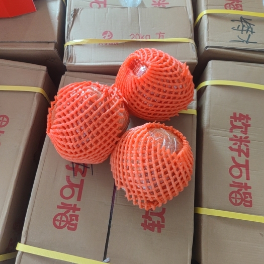 枣庄枣庄万亩石榴园新品种突尼斯（红美人）软籽石榴
