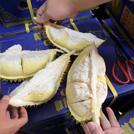 长沙A6金枕榴莲