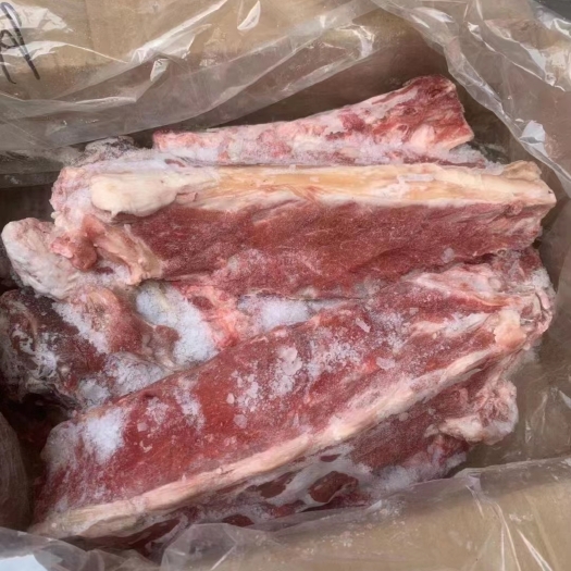 多肉羊蝎子