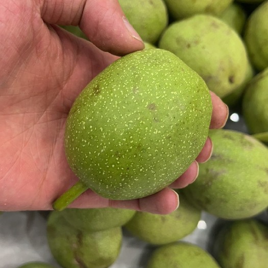 武威青皮核桃