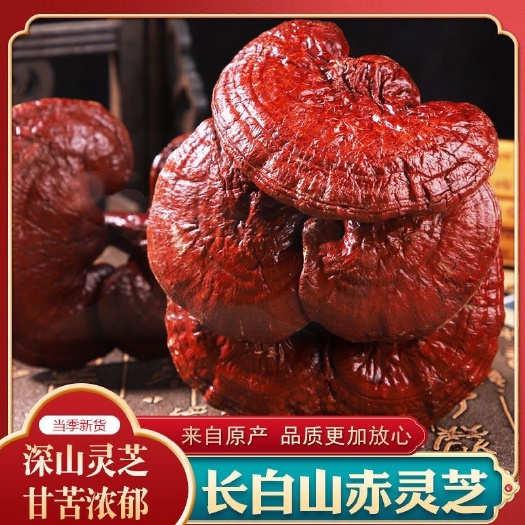 亳州长白山整朵灵芝 种植赤芝 泡汤泡茶红灵芝泡酒料