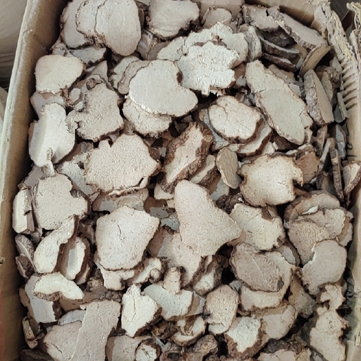 玉林中药材 茯苓 茯神 伏神 云神 芸神 散装500克