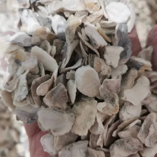 亳州牡蛎，中药材 牡蛎 煅牡蛎 生牡蛎